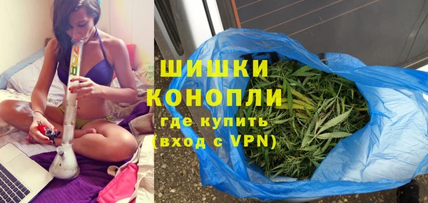 молекула духа Горнозаводск
