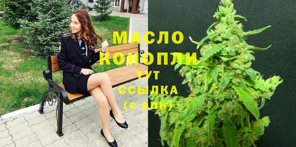 молекула духа Горнозаводск