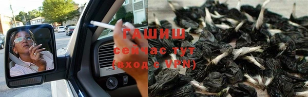 шишки Чекалин