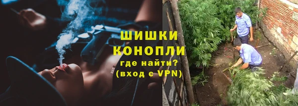 молекула духа Горнозаводск