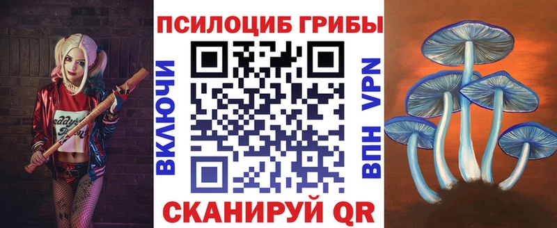mega tor  закладка  Минеральные Воды  Псилоцибиновые грибы MAGIC MUSHROOMS 