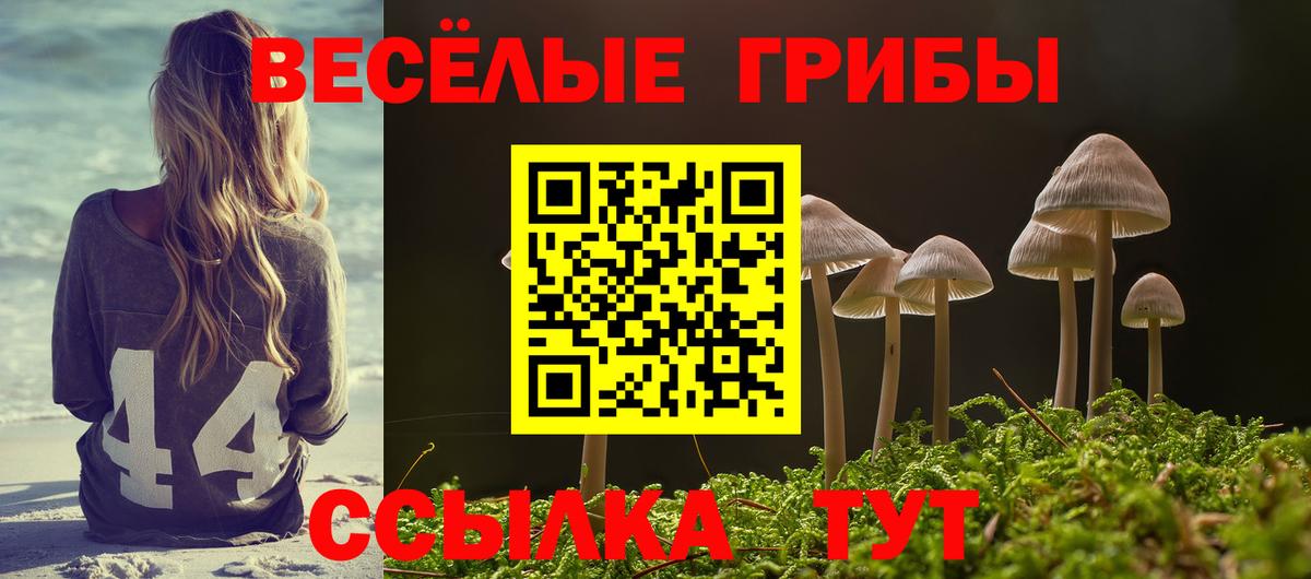 Меф  A-PVP СК   Гашиш  Кокаин  Гашиш  Минеральные Воды  Экстази  Вход с VPN  МЕФ кристаллы 