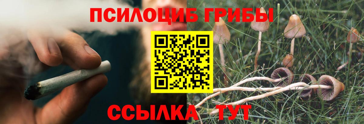 Галлюциногенные грибы GOLDEN TEACHER  Вход с VPN  Минеральные Воды  Псилоцибиновые грибы прущие грибы 